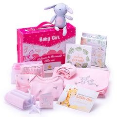 Baby Girl Bunny Gift Set for Newborns to 6 Months (12 Items)